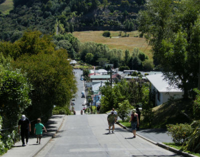 Baldwin Street Dunedin Steepest in World, according to Guiness Book of Records