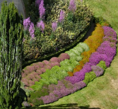 Larnach Castle, heather flower beds from Tower