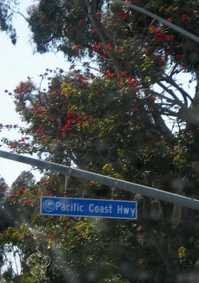 heading back down pacific coast highway