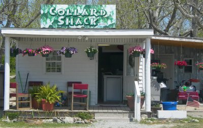 the collard shack