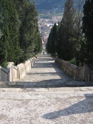 Steps Palecia