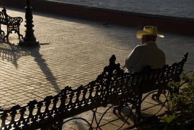 The Color of Mexico