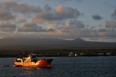 Galapagos 0686.jpg