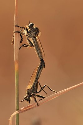 g3/39/731639/3/112859777.r6Wom5jN.jpg