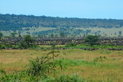 Tanzania 2005 0454.jpg