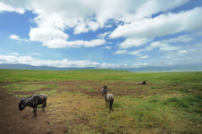 Tanzania 2010 081.jpg