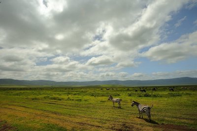 Tanzania 2010 137.jpg