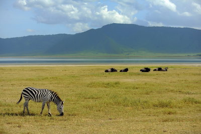 Tanzania 2010 474.jpg