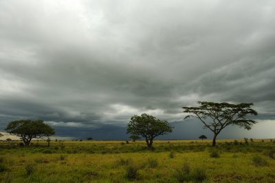 Tanzania 2010 1256.jpg