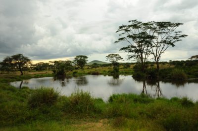 Tanzania 2010 1332.jpg