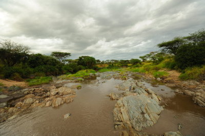 Tanzania 2010 1364.jpg