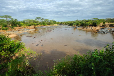 Tanzania 2010 1451.jpg