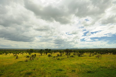 Tanzania 2010 1591.jpg