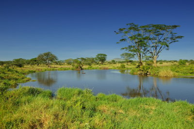 Tanzania 2010 1628.jpg