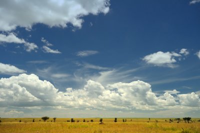 Tanzania 2010 1772.jpg