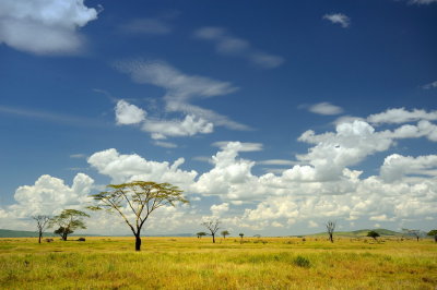 Tanzania 2010 1782.jpg