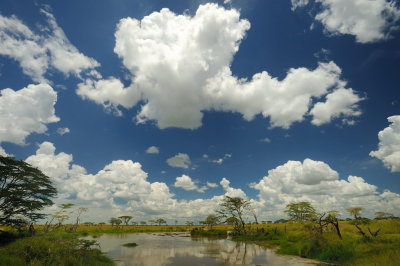 Tanzania 2010 1816.jpg
