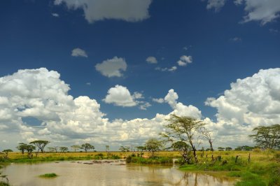 Tanzania 2010 1817.jpg