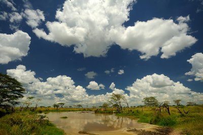 Tanzania 2010 1819.jpg