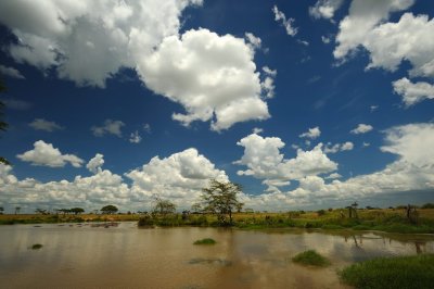Tanzania 2010 1823.jpg