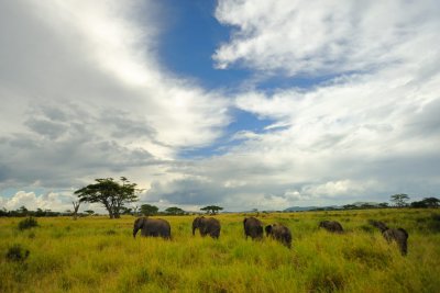 Tanzania 2010 2026.jpg