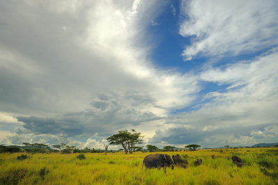 Tanzania 2010 2028.jpg