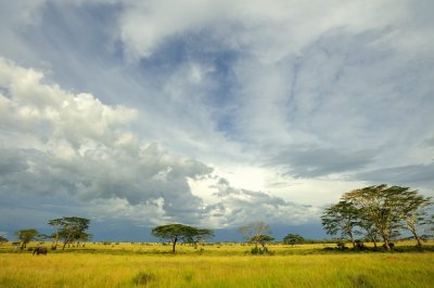Tanzania 2010 2115.jpg