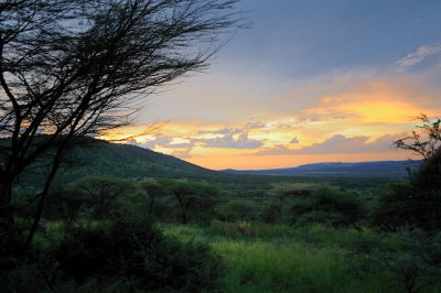 Tanzania 2010 2173.jpg
