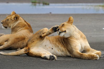 Tanzania 2010 2610.jpg