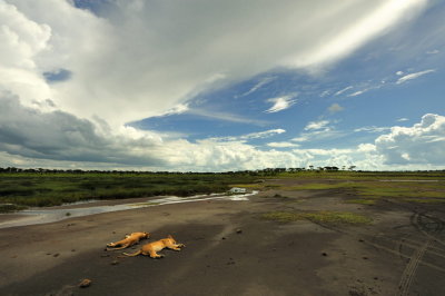 Tanzania 2010 2616.jpg