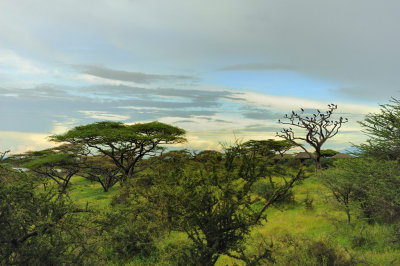Tanzania 2010 2747.jpg