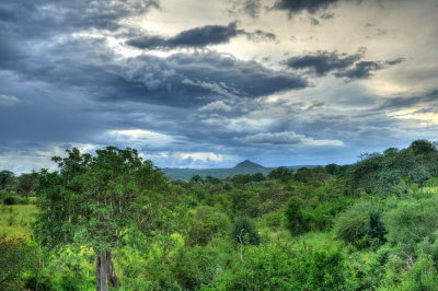 Tanzania 2010 HDR 025.jpg