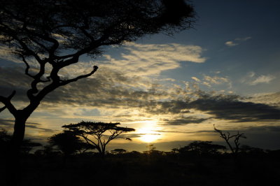 On The Way From Serengeti