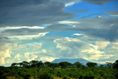 Tanzania 2010 3198.jpg