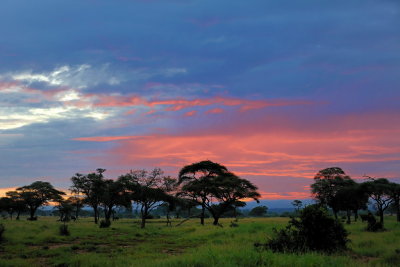 Tanzania 2010 3200.jpg