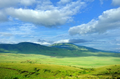 Tanzania 2010 0481.jpg