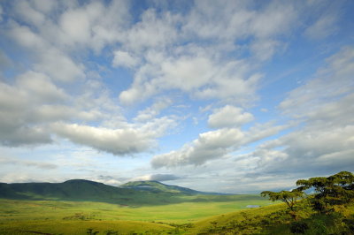 Tanzania 2010 0483.jpg