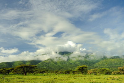 Tanzania 2010 0544.jpg