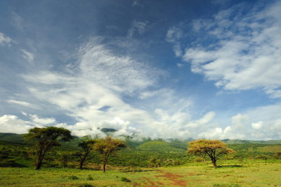 Tanzania 2010 0545.jpg