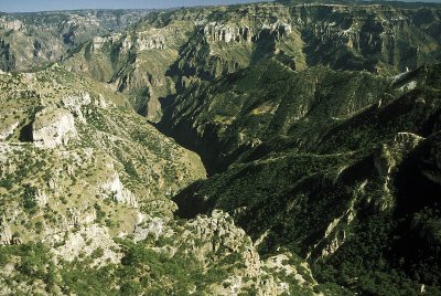 Mexico's Copper Canyon