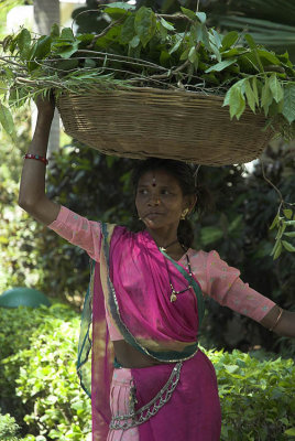 Rural woman, Rajasthan