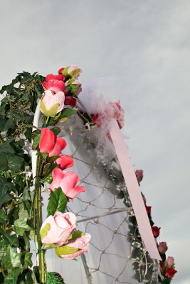 _MG_2622.jpg