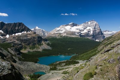 2008-7-21 7375 Lake Ohara From the Top.jpg