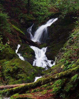 2009-12-18 2340 Mt Tamalpais 4 - C.jpg