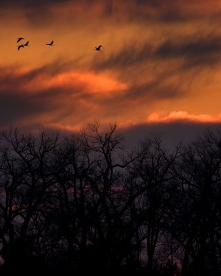 2008-3-22 4978 4979 Platte River Sunset II - Crop I.jpg