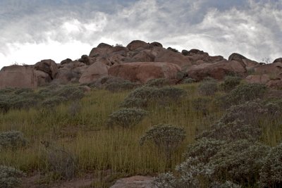 IMG_5905.jpg