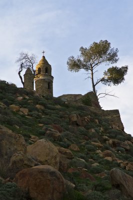 IMG_5894.jpg