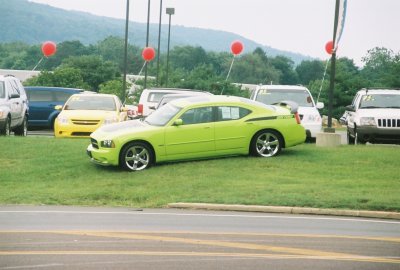 Green Daytona.jpg