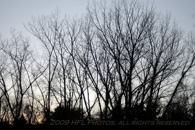 50mm f1.8 AIS - Winter Sunset at f1.8