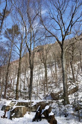 Escarpment 20100218_06 in Snow.JPG